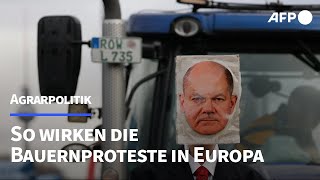 Bauernproteste in der EU und ihre Wirkung  AFP [upl. by Olva]