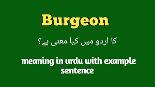 Burgeon meaning in Urdu  English  Hindi  Burgeon with sentence example How to pronounce burgeon [upl. by Tekla]