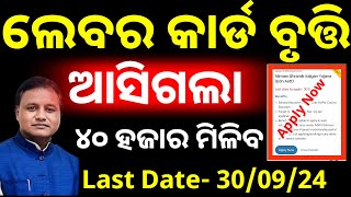 ଆସିଲା Labour Card Scholarship  labour card Scholarship 2024 apply now [upl. by Ariek]