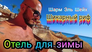 🇪🇬ЕСТЬ ЛИ ИЗМЕНЕНИЯ В Sharm Plaza 4 Первая линия Подводный мир Обед номер с видом на море Шарм [upl. by Nimaj]