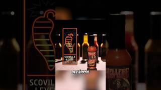 600 000 sur l’échelle de Scoville ça commence a bien monter mdr  🔥🌶️ 10 HELLFIRE hotones [upl. by Odinevneib]