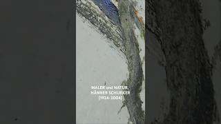 MALER und NATUR HÄNNER SCHLIEKER 19242004 [upl. by Allegra]