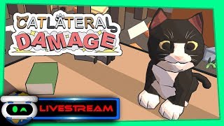 Catlateral Damage PSVR Gameplay [upl. by Dreeda]