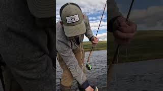 Epic Grayling Fishing Adventure Catching 30 Fish  outdoorboys fishing [upl. by Annil]