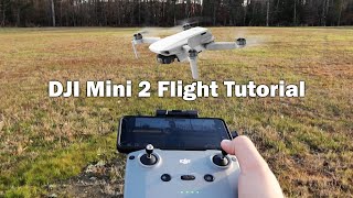 Getting Started with the DJI Mini 2  Flight Tutorial Pt 2 of 2 [upl. by Thea]