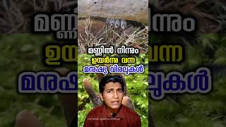 മരിച്ച മനുഷ്യൻ്റെ വിരലുകൾ dead mans fingers malayalam facts [upl. by Biddle]