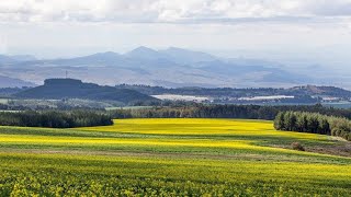 Kenyas Beautiful Countryside  A Drive through Wheat Farms Nanyuki to Meru [upl. by Nuriel]