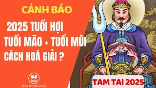 Tử vi 2025 Tuổi Hợi Mão Mùi Phạm Tam Tai cách hoá giải để thu hút tài lôc [upl. by Enilesor]