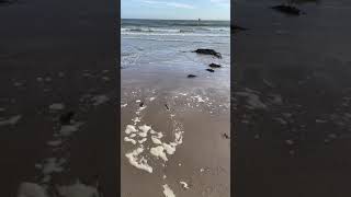 Beadnell Beach  Northumberland [upl. by Lessur]