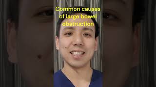 What causes large bowel obstructions doctor medicine surgery bowelobstruction [upl. by Anilehcim497]