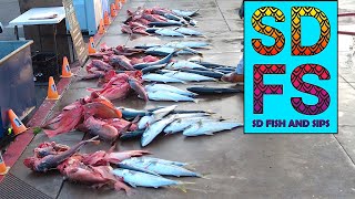 Bluefin Tuna Missing  Yellowtail Bonito amp Rockfish  San Diego Sportfishing Report May 7 2023 SDFS [upl. by Weider]