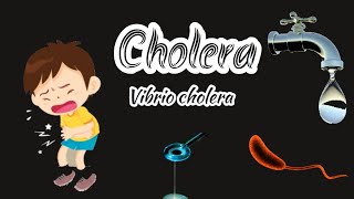 cholera  Introduction  causes  pathogenesis clinical features  diagnosis  treatment questions [upl. by Imekawulo]