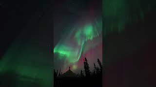 Magical aurora display in Fairbanks Alaska  Greatland Adventures [upl. by Wilhide]