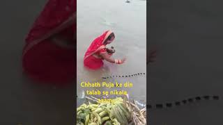 Chhath Puja ke din talab se nikala saamp [upl. by Llertal]