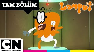 LAMPUT  Kaçırılma  TAM BÖLÜM  cartoonnetworkturkiye [upl. by Peppard]