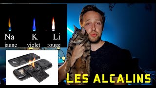 Les alcalins en 5 minutes [upl. by Bainbrudge]