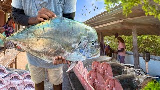 Amazing Most Satisfying excellent Monster fish cutting Street Fish Market [upl. by Tellford569]