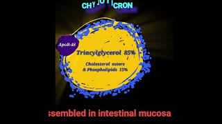 Chylomicrons Metabolism Made Easy [upl. by Perlis]