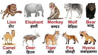 Wild animals names  animals for kids  animal vocabulary with pictures for kindergarten [upl. by Klayman924]