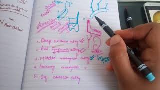 MAXILLARY ARTERY compplete explanation in easy way part 2 [upl. by Tumer]