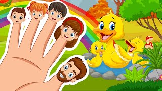 Finger Family  Five Little Ducks  Nursery Rhymes amp Kids Songs  Baby Songs [upl. by Aerdnahs642]