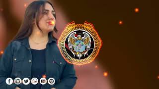 Irani New Remix Song 2024 Tiktok Viral Song SlowedReverb [upl. by Festus]