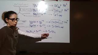 42 Qualitative Analysis  Identifying Unknown Ions Day 2 [upl. by Hermann]