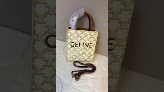 Celine Bag [upl. by Norri]