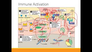 Immunosuppressants [upl. by Ennove]