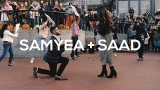 Samyea  Saad Bollywood Flash Mob Proposal [upl. by Nospmoht]