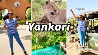 I NEVER Expected This A trip to Yankari Game Reserve Bauchi State [upl. by Adiaj]