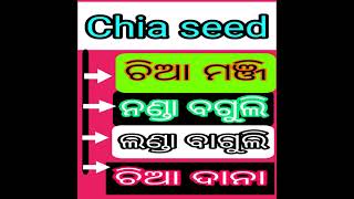 Chia seeds meaning in Odia language [upl. by Lunt]