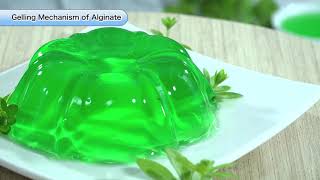 Characteristics of Alginate quotGelationquot [upl. by Anrak30]