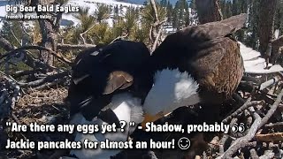 FOBBV CAM🦅quotAre There Any Eggs Yetquot Shadow Probably👀Jackie Pancakes For Almost An Hour😊🥞20230408 [upl. by Aicilic642]