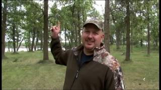 Rob Dykeman President of Excalibur Crossbows Drops Massive Black Bear at Hoards Hunting Camps [upl. by Zondra801]