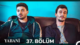 Yabani 37 Bölüm [upl. by Bick]