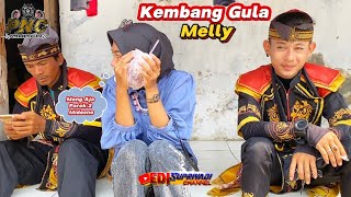 Dalang Viral  Kembang Gula  Melly  Singa Depok Putra Nafita Caya Show Lunggadung Cikedung Lor [upl. by Sihunn723]