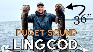 Puget Sound Lingcod Fishing May 4th 2024 [upl. by Einnaf]