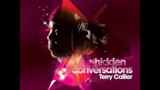 Terry Callier  Hidden Conversations [upl. by Nnyleve359]