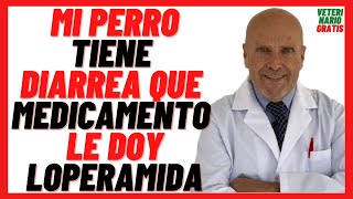 🟠 Mi PERRO Tiene DIARREA qué MEDICAMENTO le DOY 🟠 LOPERAMIDA FORTASEC para PERROS [upl. by Ahtibbat]