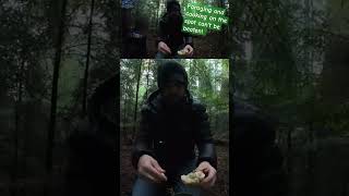 Foraging is King camping survival bushcraft [upl. by Lida]