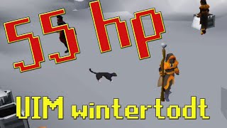 UIM wintertodt with 55hp  UIM progression S1E12 [upl. by Klaus]