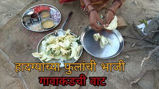 हादग्याच्या फुलांची भाजीआयुर्वेदीक महत्वgavakdachi vat [upl. by Gnof]