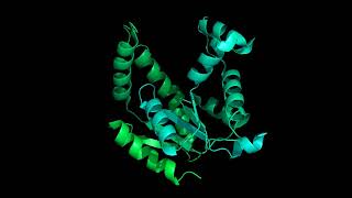 Adenylate kinase NMP site  Adamec [upl. by Canning]