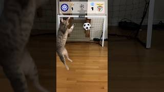 Cat Goalie  Inter Vs Benfica  2023 UEFA Quarter Final Leg 2 cat fyp [upl. by Delaryd]