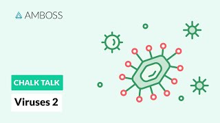 Viruses  Part 2 DNA vs RNA Viruses [upl. by Abehsat]