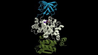 Ribozyme and Isozymes Part 1 [upl. by Romanas]