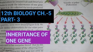 Class 12 biology chapter 5part 3inheritance of one geneStudy with Farru [upl. by Alistair618]