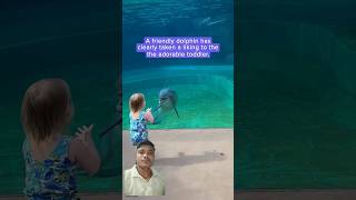 Dolphin fishviralvideo [upl. by Airaet]