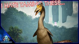 Herperornis Taming Is The Worst  Ark Survival Ascended EP56 [upl. by Hatch]